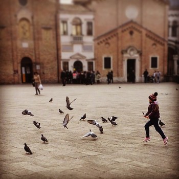 Arriva la #primavera  #santo #padova #igerspadova