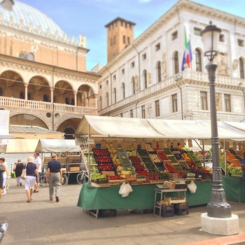 #piazza #frutti #padova