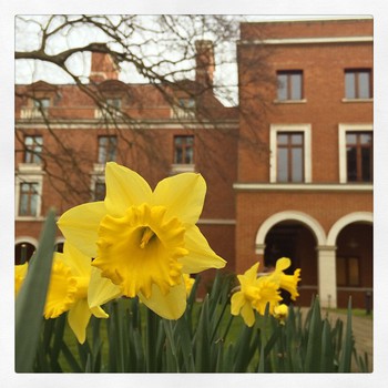 Selwyn college, #cambridge