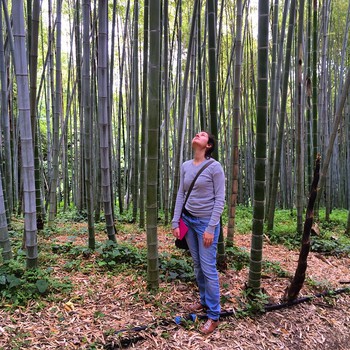 #Bamboo at the #ortoBotanico in #Rome