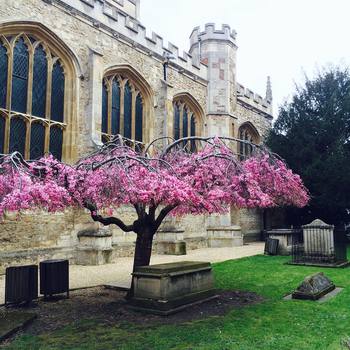 #happy #easter from #Cambridge