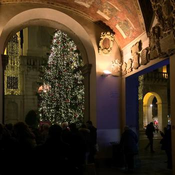 #Christmas tree in #padua #bo