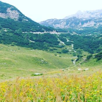 Verso il Rifugio Scalorbi.