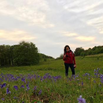 Back to cromer #bluebells #lighthouse #sunset #seaside