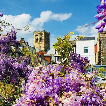 #catholic #cathedral from #saint #Giles #church in #Norwich. Blessed by #wisteria