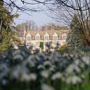 Anglesey #Abbey surrounded by #snowdrops  terrific #sunny day, #spring is almost here near #cambridge #nationaltrust #park #visitengland